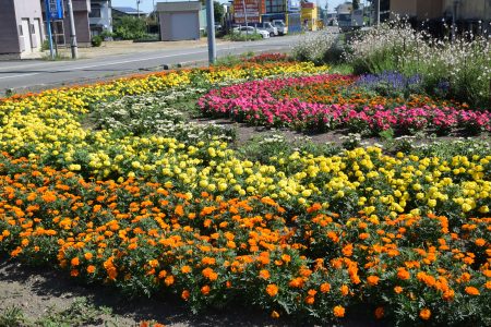 ④高田（青森市）★