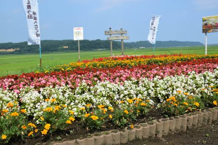 ④土場川（七戸町）★