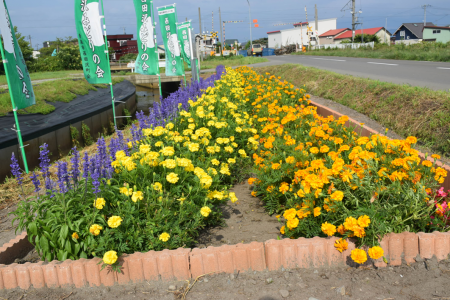 R4西田沢みどりの会03