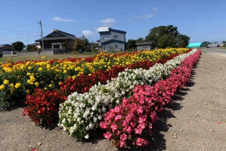 R4鶴ヶ岡環境保全会（五所川原市）03