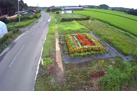 R4小泉地区環境保全隊01