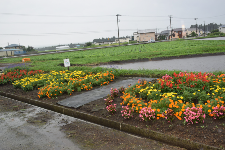 R4赤沼農地・水・環境保全会（十和田市）03