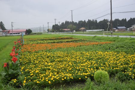 R4晴山資源保全隊03