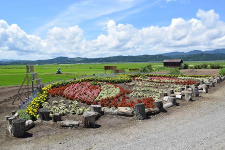 R5長科地域水土里保全隊（蓬田村）02