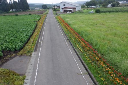 R5種原保全会（十和田市）04