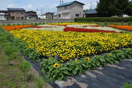 R5尾上南部地区保全会（平川市）01