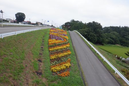 R5奥入瀬川沿岸地域保全広域協定（十和田市）04