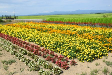 R5鶴ヶ岡環境保全会（五所川原市）01