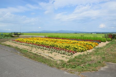 R5鶴ヶ岡環境保全会（五所川原市）03