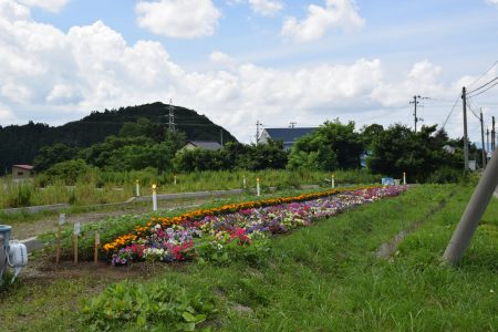 R5諏訪沢農地保全会（青森市）01