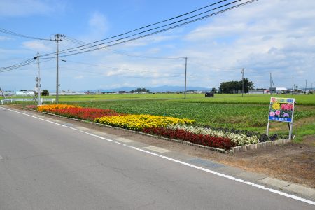 R5広須保全会（つがる市）03