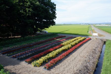 R5田川環境保全会（五所川原市）04