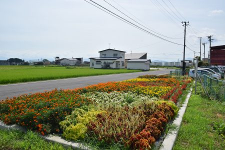 R5美土里の会・大袋（田舎館村）03