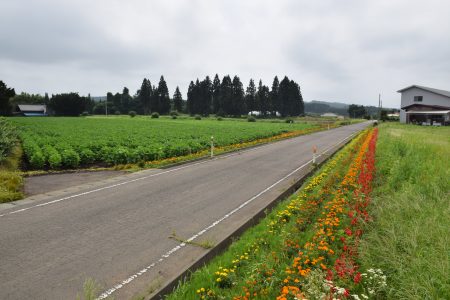 R5種原保全会（十和田市）01