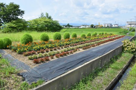 R5日沼地域共同活動組織（平川市）02