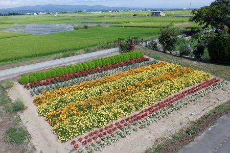 R5鶴ヶ岡環境保全会（五所川原市）04