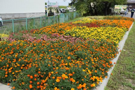 R5美土里の会・大袋（田舎館村）02