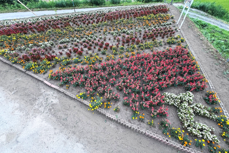 R7土場川水土里保全会(七戸町,東北町)02