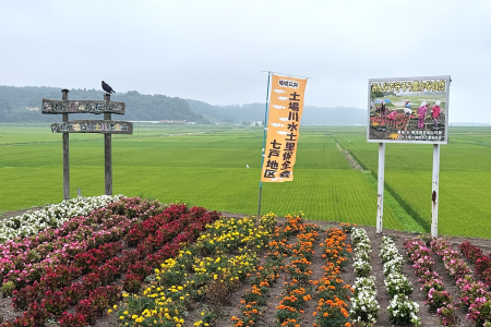 R7土場川水土里保全会(七戸町,東北町)04